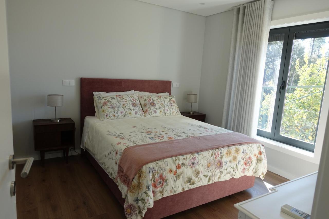 Montinho 313 Villa Arouca Ngoại thất bức ảnh